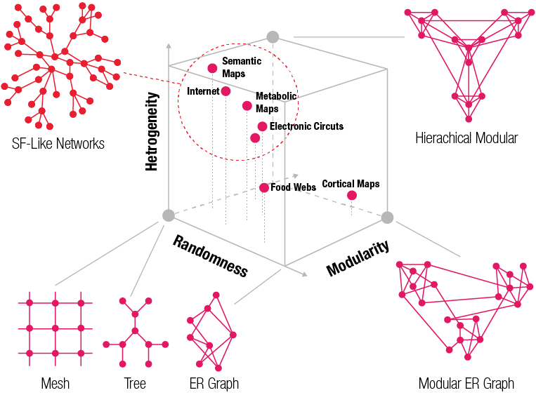 Visualising Various Network Models