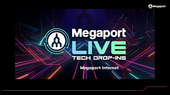 Megaport Internet : la solution agile pour un accès Internet ou un accès de management.