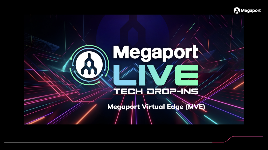 Megaport Virtual Edge (MVE)