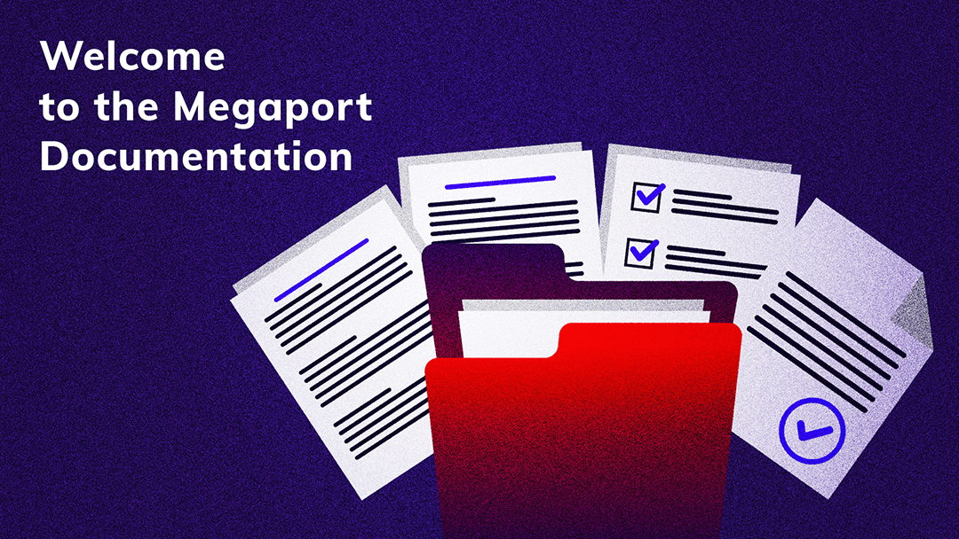 screenshot of Megaport Portal